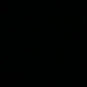 Clothing bundle! Amazing deal